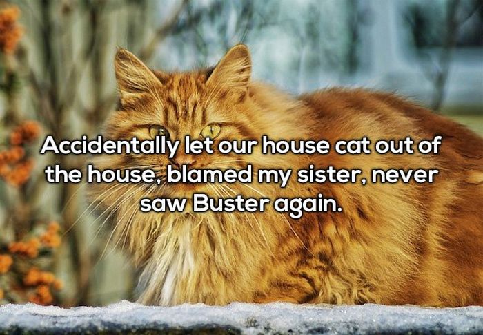People Confess To The Worst Thing They Blamed Their Sibling For (22 pics)