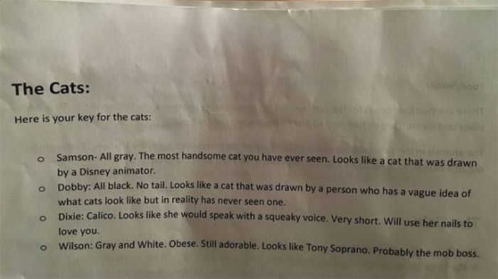 Cat Sitter Receives The Cutest Instructions Possible (6 pics)