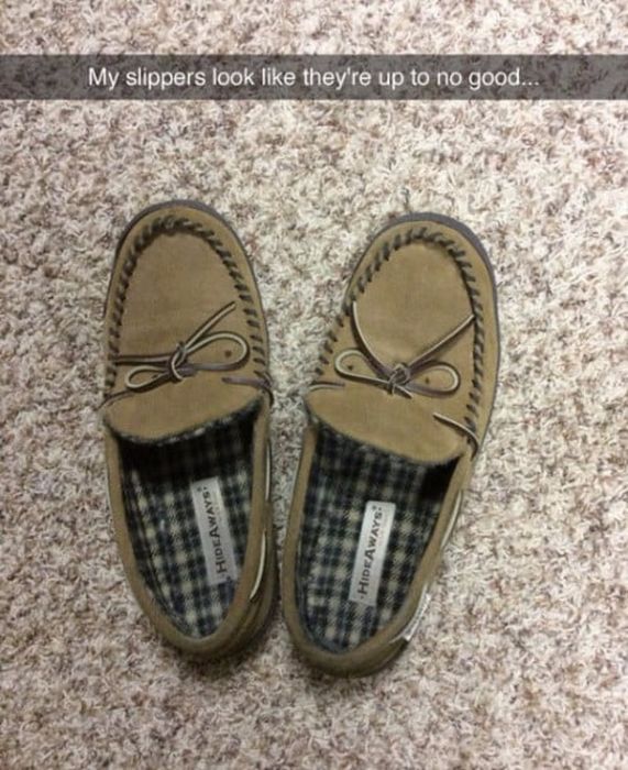 Hilarious Snapchat Pics That Will Keep You Laughing All Week Long (22 pics)