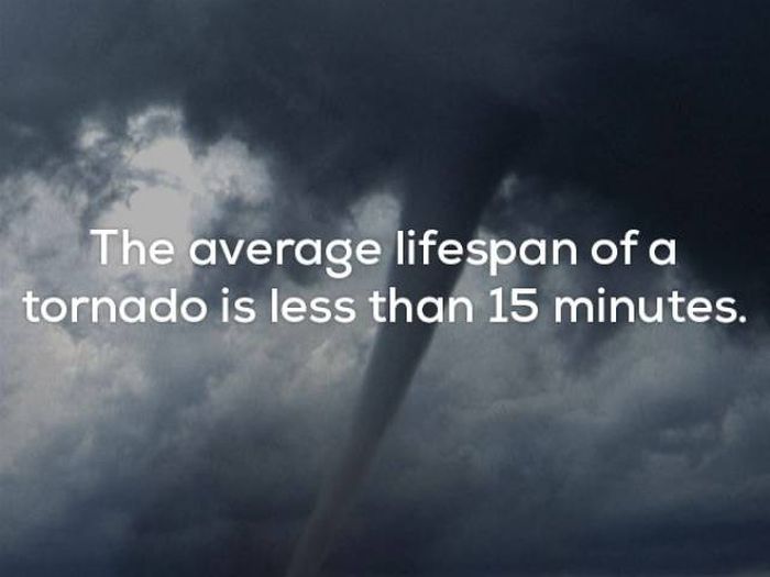 Interesting Facts About Weather That Will Blow Your Mind (25 pics)