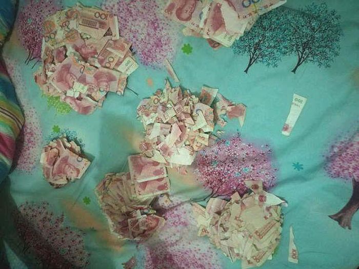 Chinese Boy Gives His Parents An Expensive Puzzle (3 pics)