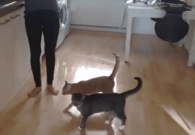 Sometimes Awful Things Happen And You Can't Even Try To Fight It (53 pics)