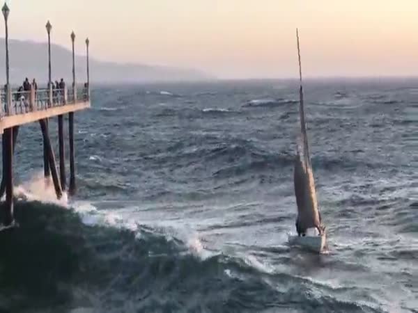 Sailboat Gets Rekt By A Giant Wave