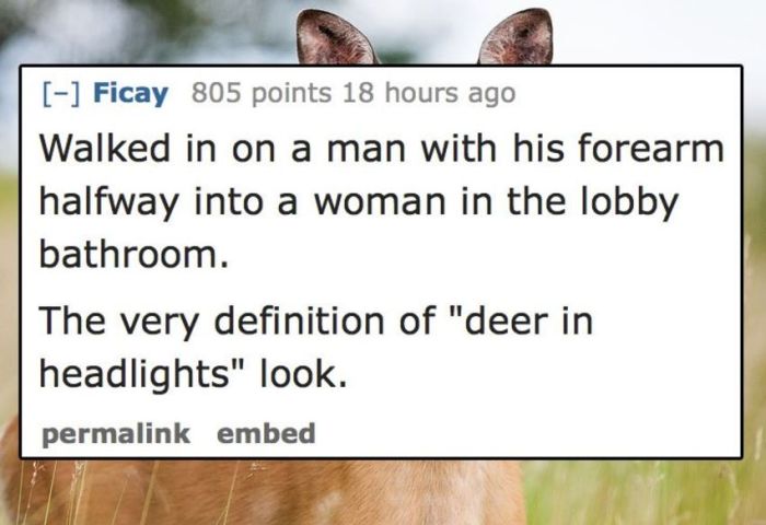 Hotel Employees Share The Weirdest Things They've Seen Guests Do (13 pics)