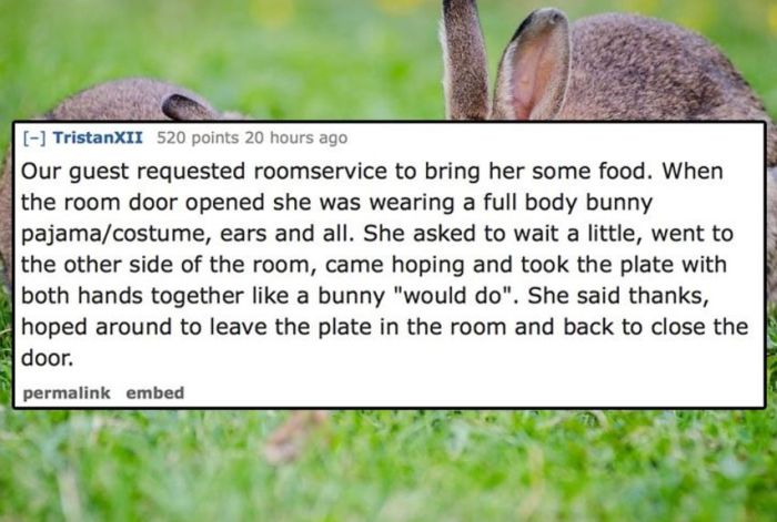 Hotel Employees Share The Weirdest Things They've Seen Guests Do (13 pics)