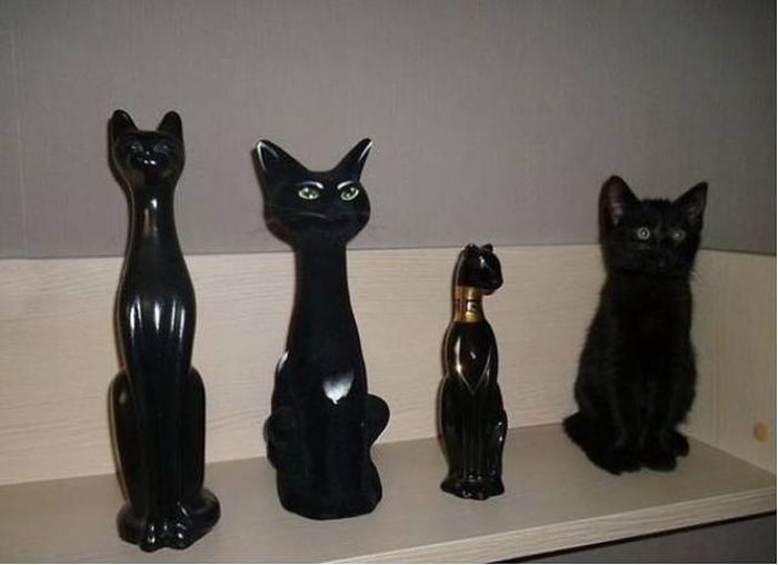 Something Is Very Wrong With These Photos (48 pics)