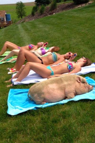 Something Is Very Wrong With These Photos (48 pics)