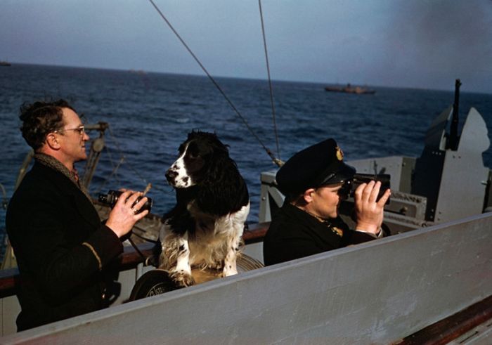 Vintage Photos Of An Atlantic Convoy From 1941 (32 pics)