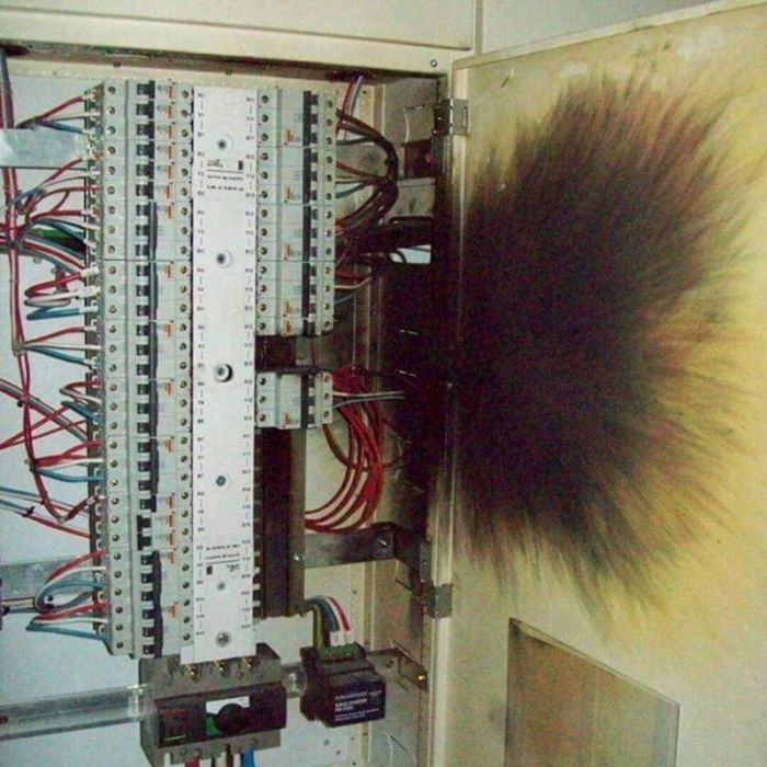 Electricians Work In Some Weird Situations (18 pics)