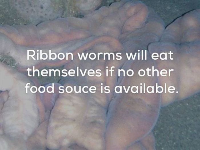 These Facts Definitely Aren't For The Faint Of Heart (25 pics)