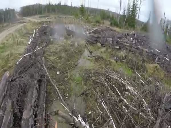 Black Bear Charge Attack Fire River in Ontario
