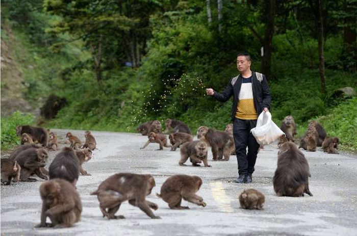 Acid Picdump (90 pics)