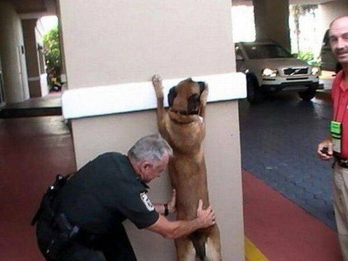 Acid Picdump (90 pics)