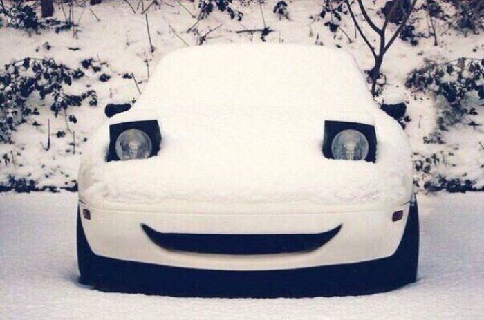 Acid Picdump (90 pics)