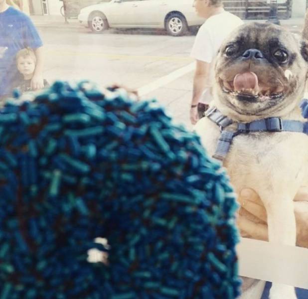 Acid Picdump (90 pics)