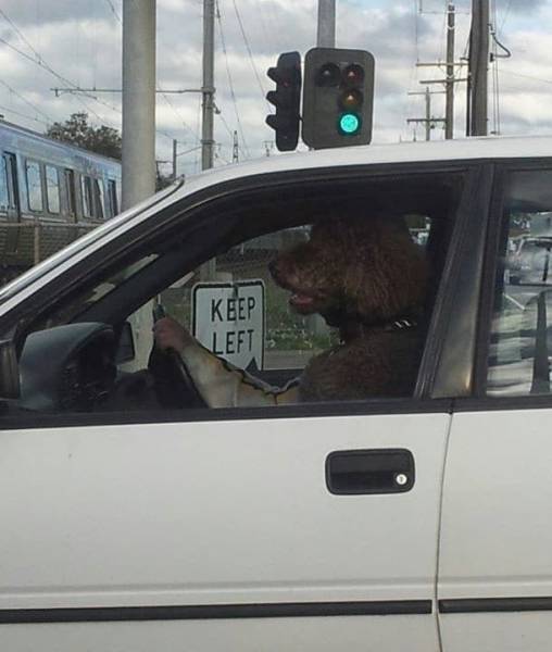 Acid Picdump (90 pics)