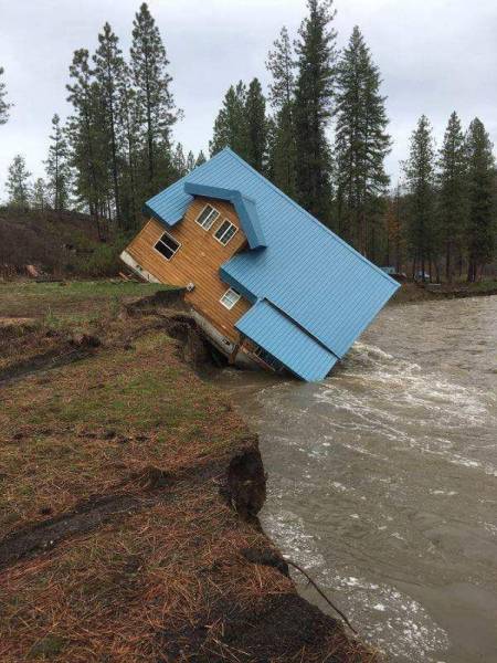 Acid Picdump (90 pics)