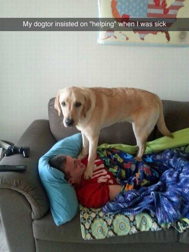 Acid Picdump (90 pics)