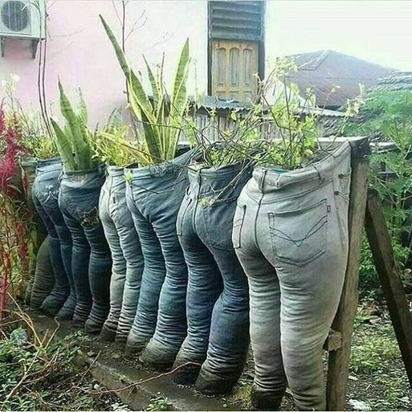 Acid Picdump (90 pics)