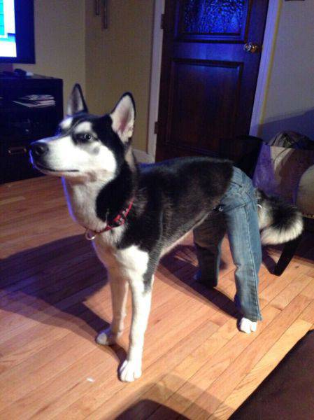 Acid Picdump (90 pics)