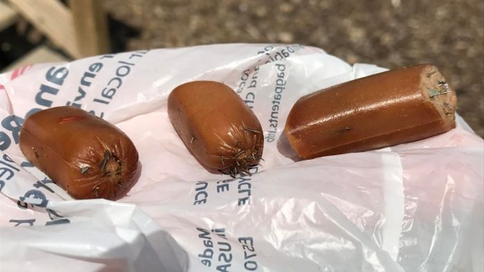 Dog Owner Finds Hot Dogs With Razor Shards In Their Yard (3 pics)