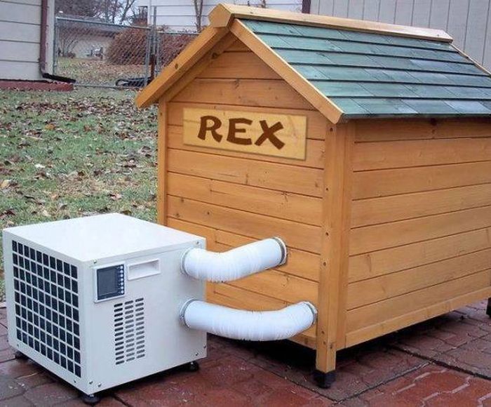Acid Picdump (108 pics)