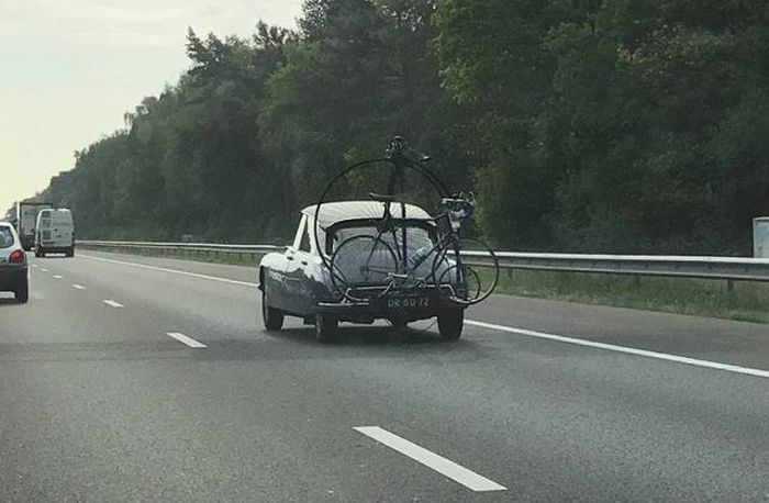 Acid Picdump (108 pics)