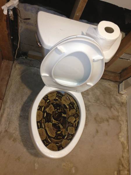 Acid Picdump (108 pics)