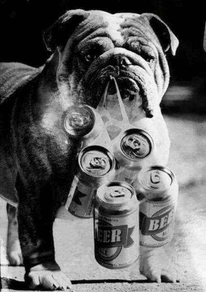 Acid Picdump (108 pics)