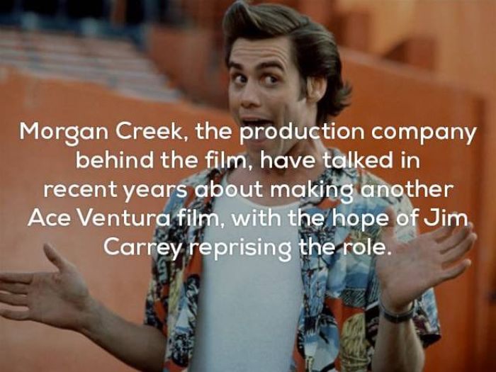 Awesome Facts About Ace Ventura (25 pics)