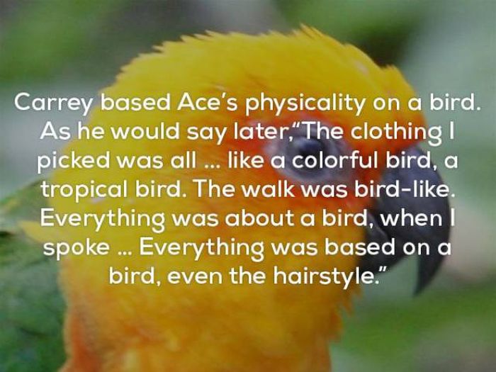 Awesome Facts About Ace Ventura (25 pics)