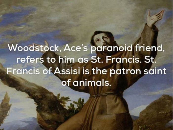 Awesome Facts About Ace Ventura (25 pics)