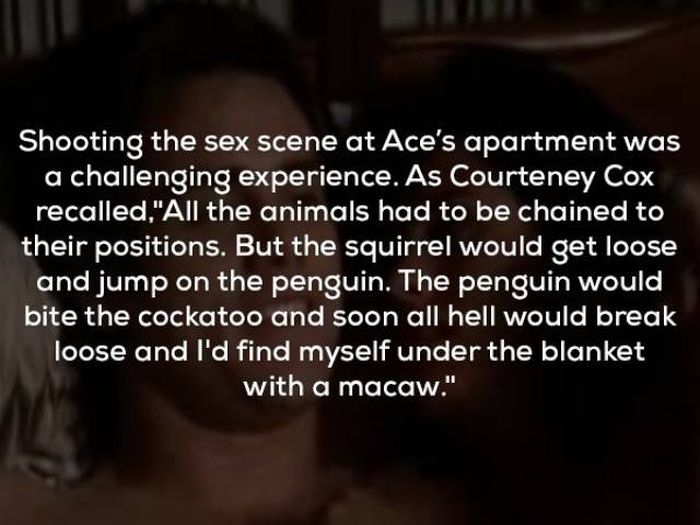 Awesome Facts About Ace Ventura (25 pics)