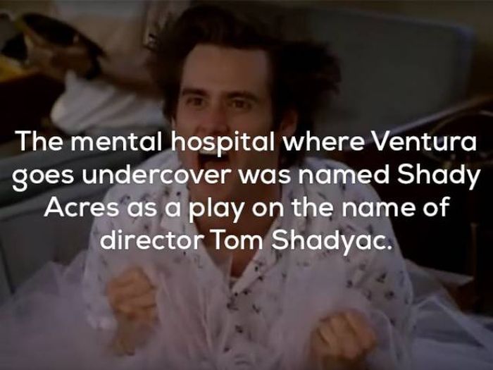 Awesome Facts About Ace Ventura (25 pics)