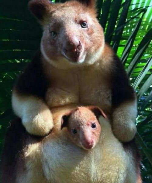 Acid Picdump (112 pics)