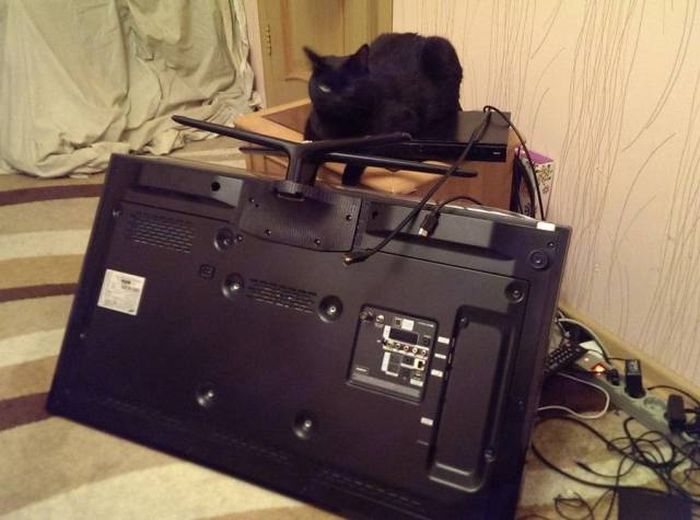Acid Picdump (112 pics)
