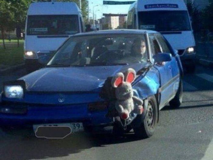 Acid Picdump (112 pics)