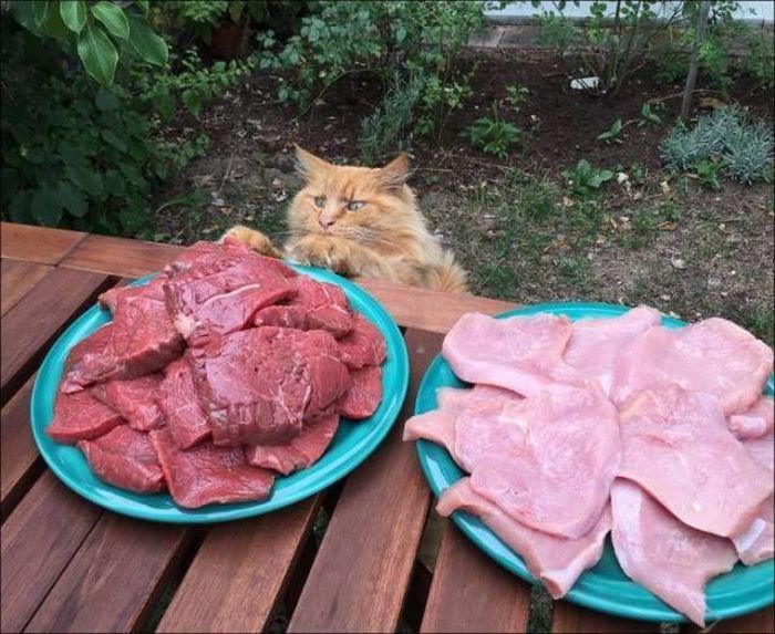 Acid Picdump (112 pics)