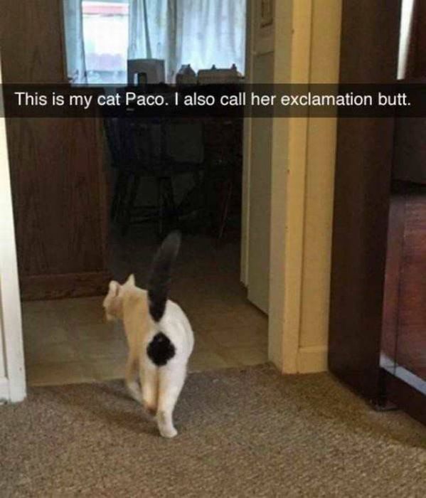 Acid Picdump (112 pics)