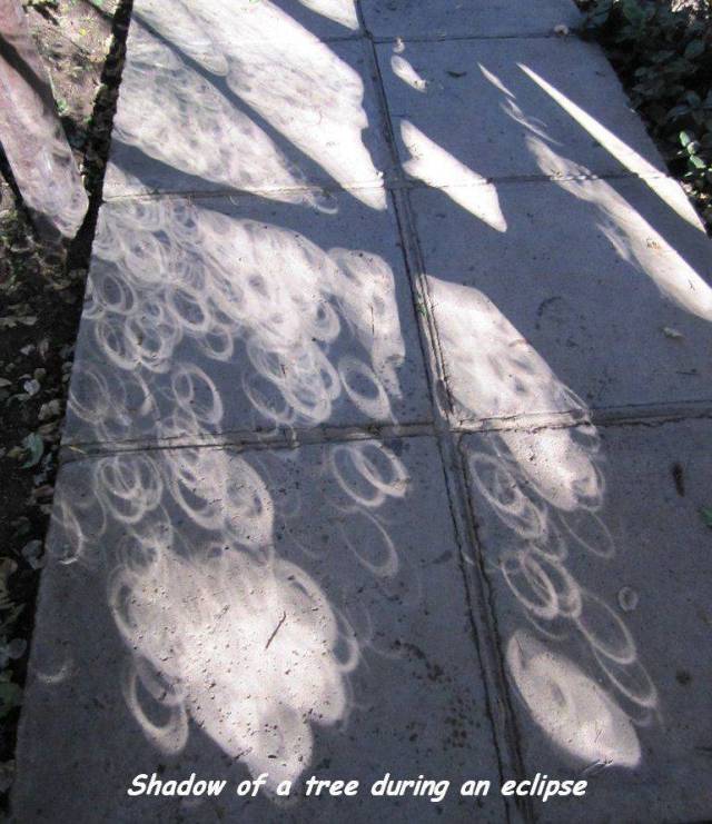 Acid Picdump (112 pics)
