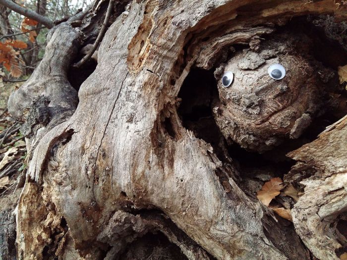 Someone In Bulgaria Put Googly Eyes On Broken Objects And It’s Awesome (25 pics)