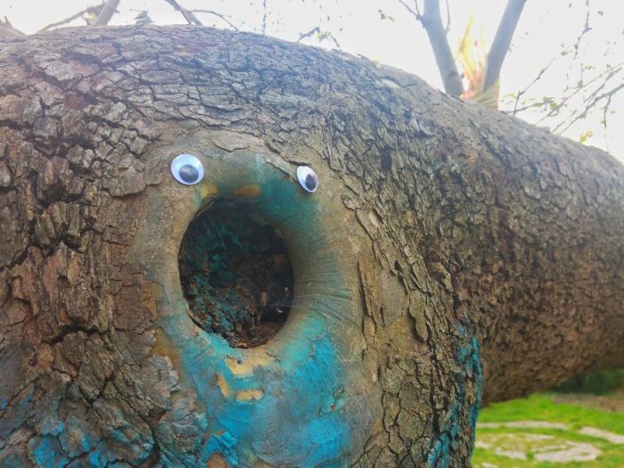 Someone In Bulgaria Put Googly Eyes On Broken Objects And It’s Awesome (25 pics)