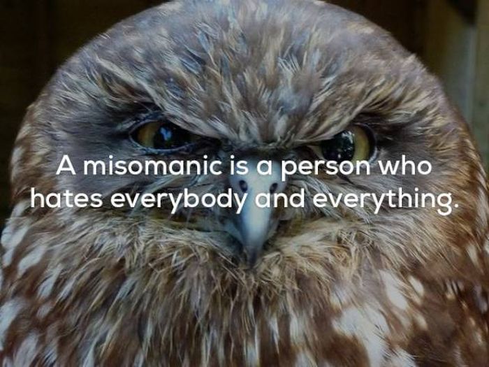 Wicked Facts That Will Make You Think (25 pics)