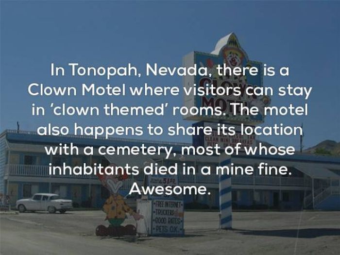Wicked Facts That Will Make You Think (25 pics)
