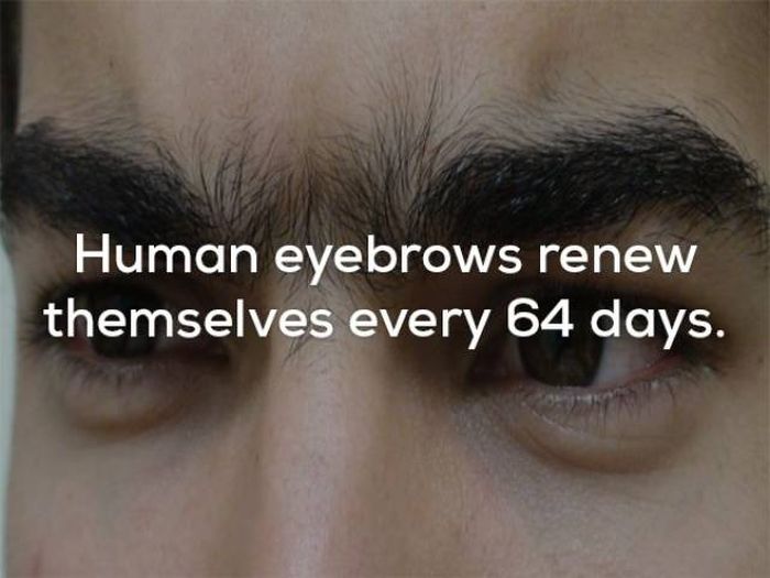 Wicked Facts That Will Make You Think (25 pics)