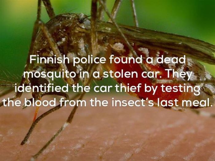 Wicked Facts That Will Make You Think (25 pics)
