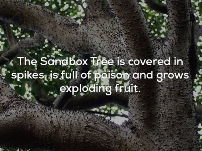 Wicked Facts That Will Make You Think (25 pics)