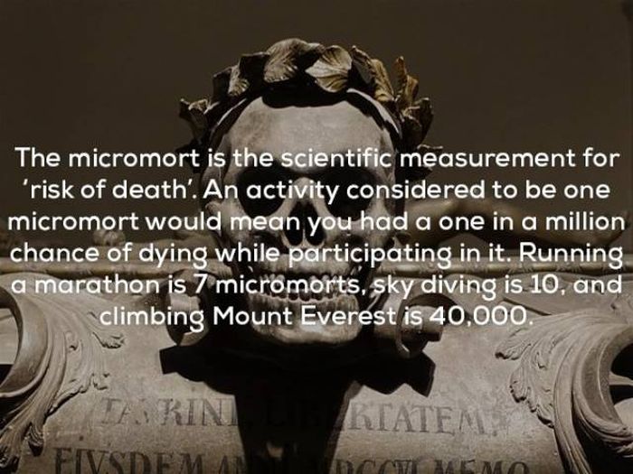 Wicked Facts That Will Make You Think (25 pics)