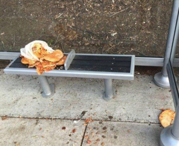 People Who Should Be Banned From Pizza Forever (21 pics)