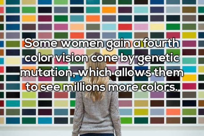 Important Facts You Need To Know About Women (19 pics)